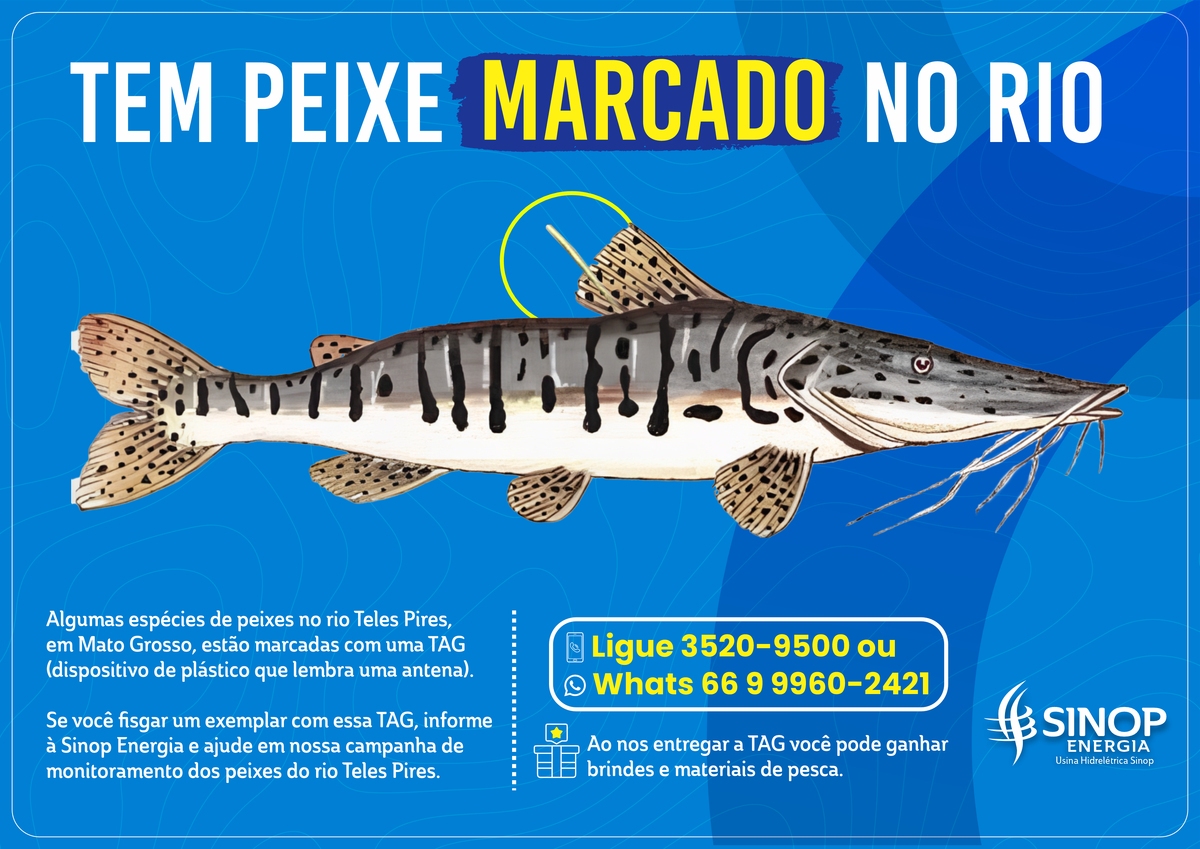 Sinop Energia realiza marcação e monitoramento de peixes no rio Teles Pires