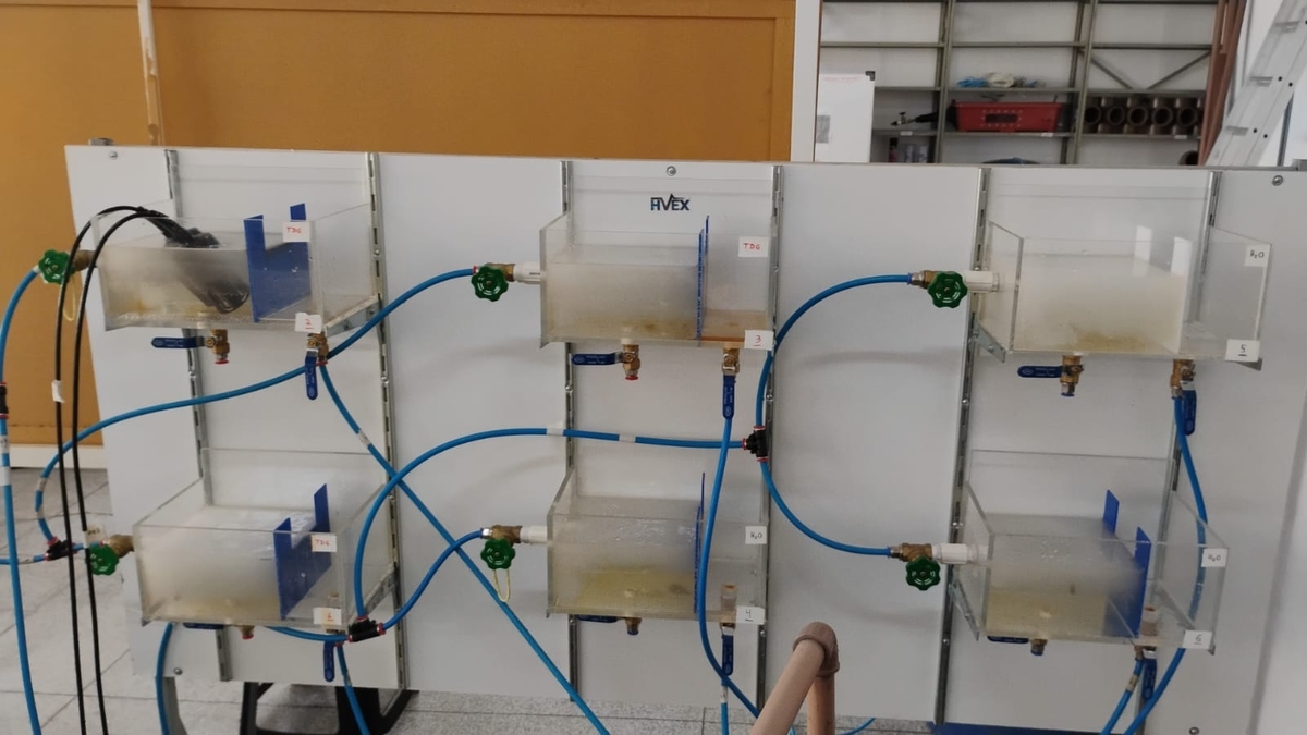 Pesquisa da Sinop Energia avança na avaliação de impactos em peixes