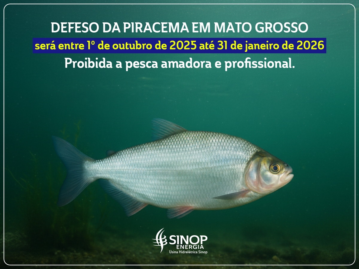 Defeso em Mato Grosso: Sinop Energia alerta para a Piracema