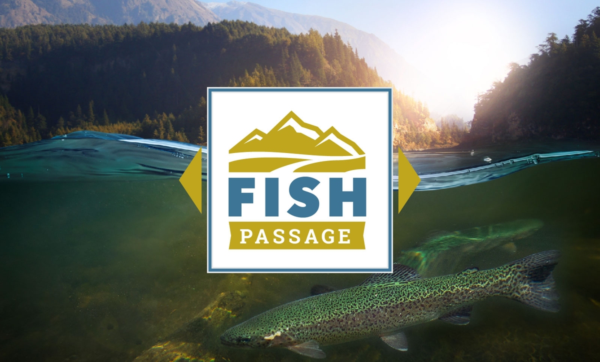 Sinop Energia apresenta avanços em conservação da ictiofauna na Fish Passage 2026