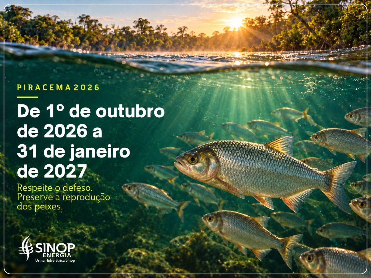 Começa a Piracema em Mato Grosso