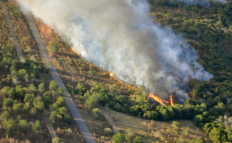 UHE Sinop inicia campanha de combate a incêndios 