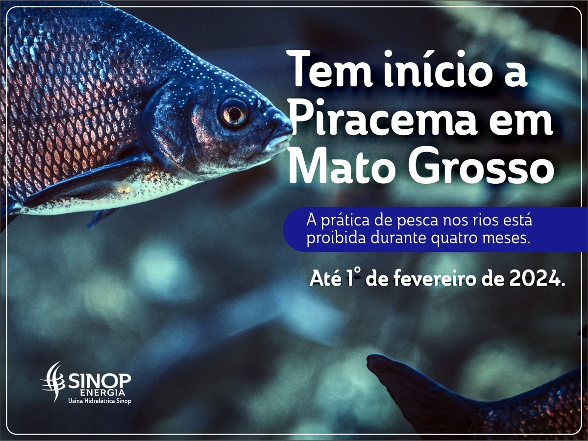 Piracema tem início em Mato Grosso