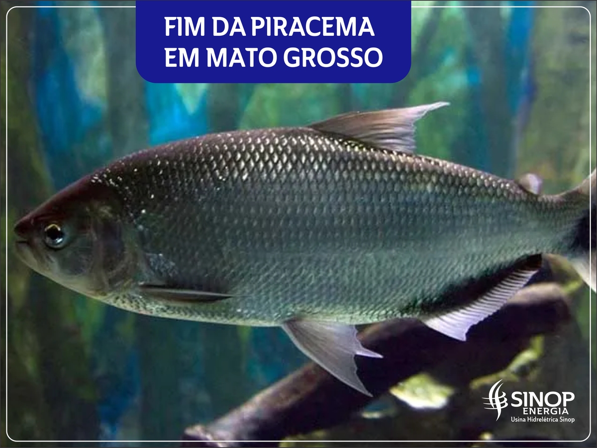 UHE Sinop conscientiza a população sobre o uso correto  do reservatório, com o fim piracema