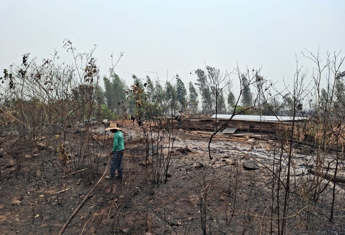 Sinop Energia auxilia comunidades locais no combate a incêndios