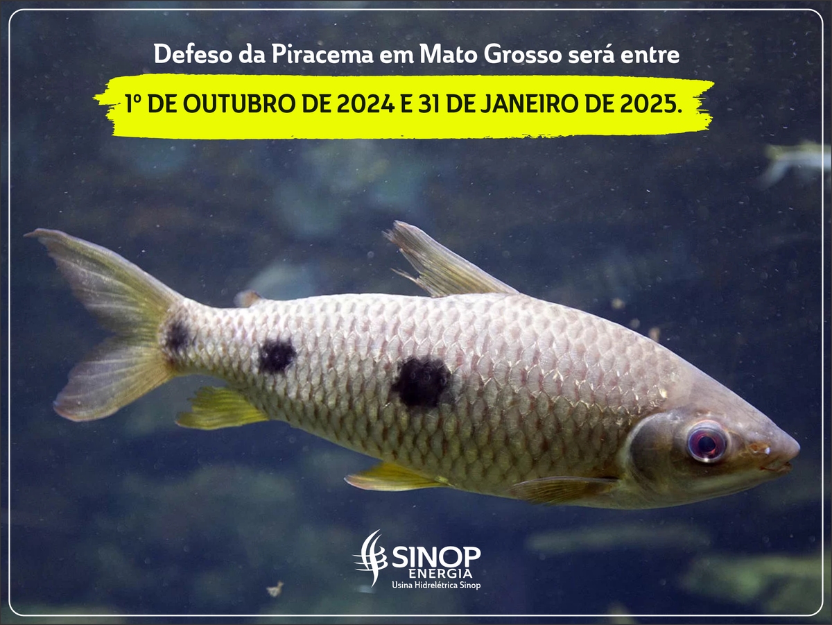 Sinop Energia alerta para a importância do defeso da Piracema em Mato Grosso