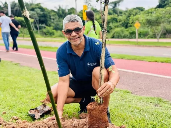 Sinop Energia doa mais de 2.500 mudas e auxilia na arborização de ruas e avenidas