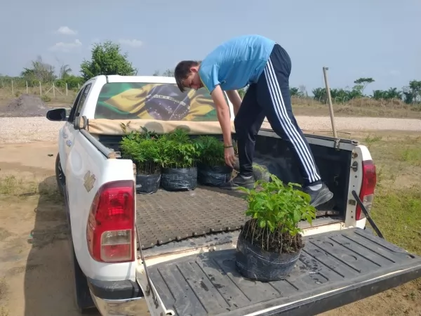 DIA DA ÁRVORE | Sinop Energia doa 500 mudas de árvores nativas ao Sindicato dos Produtores Rurais de Ipiranga do Norte
