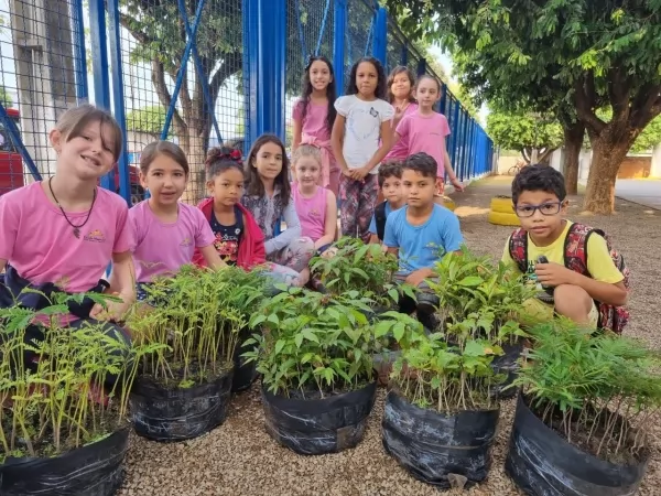 DIA DA ÁRVORE | Sinop Energia doa 500 mudas de árvores nativas ao Sindicato dos Produtores Rurais de Ipiranga do Norte