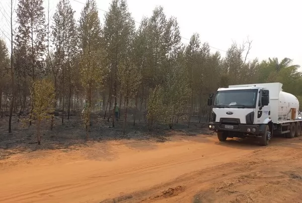 Sinop Energia auxilia comunidades locais no combate a incêndios