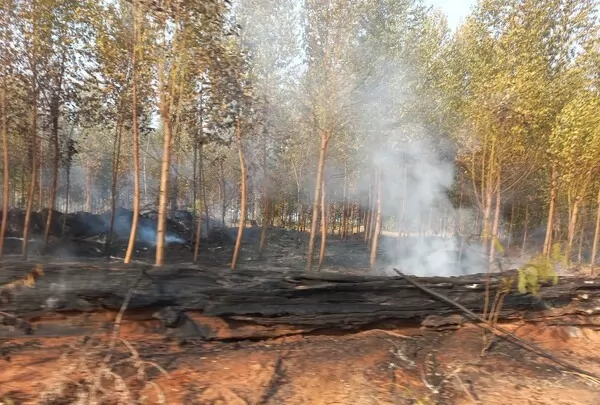 Sinop Energia auxilia comunidades locais no combate a incêndios