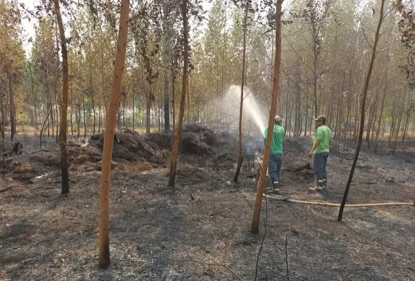 Sinop Energia auxilia comunidades locais no combate a incêndios