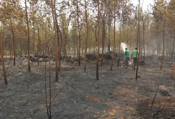 Sinop Energia auxilia comunidades locais no combate a incêndios