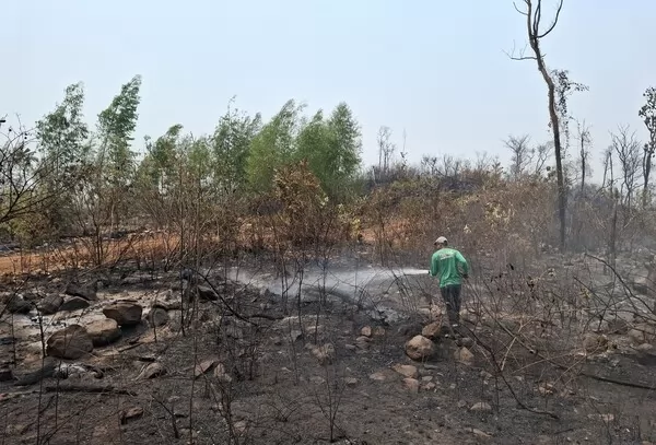 Sinop Energia auxilia comunidades locais no combate a incêndios